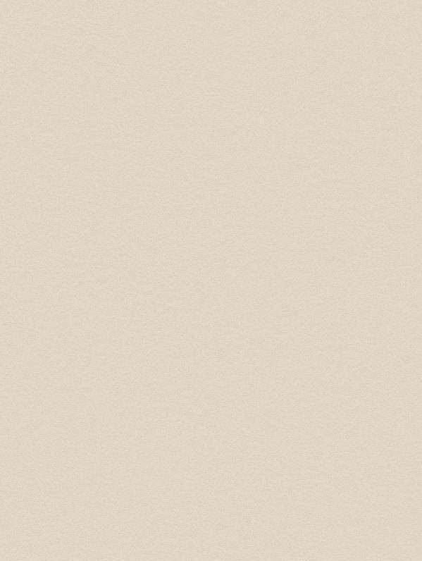 PNC42 Premium Painted Concrete