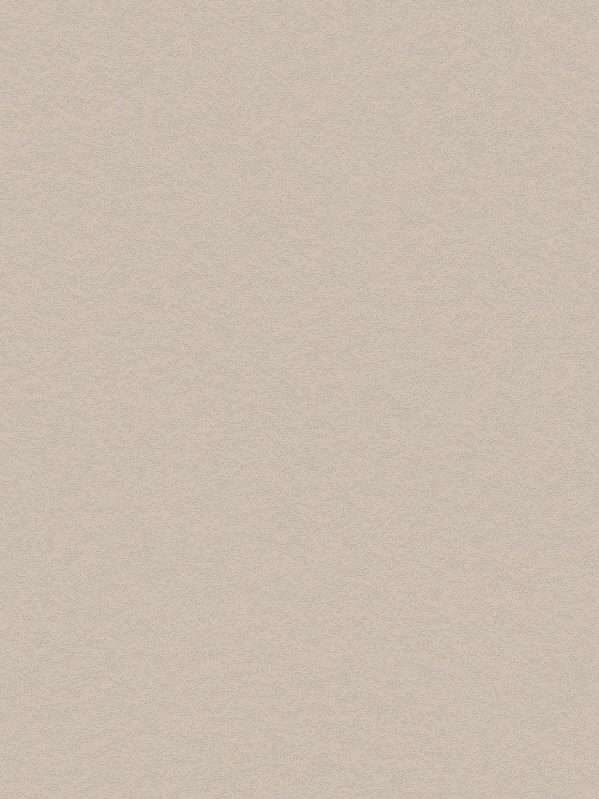 PNC43 Premium Painted Concrete