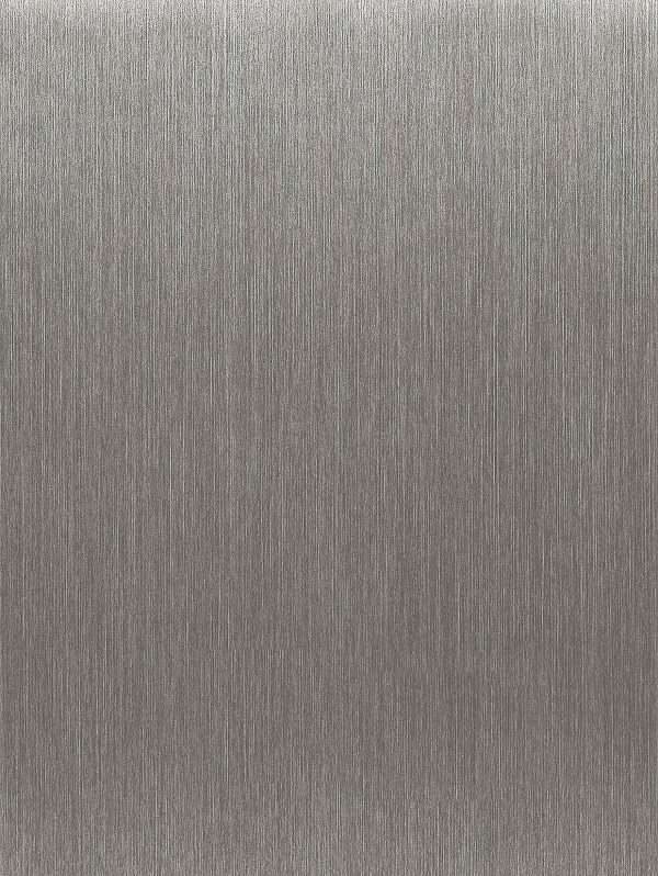 RM005 Brushed Silver Interior Film