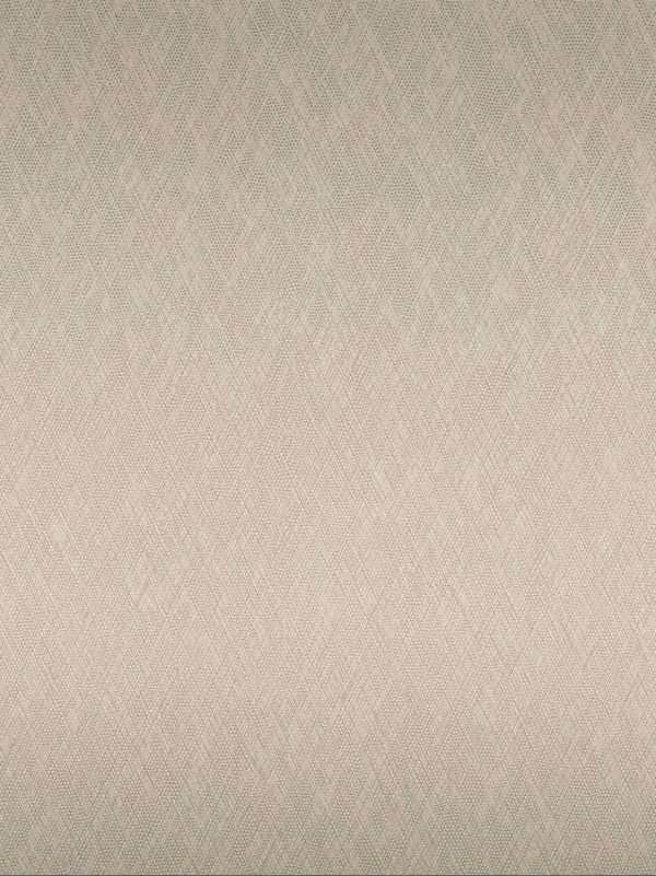 RM051 Vegas Gold Interior Film