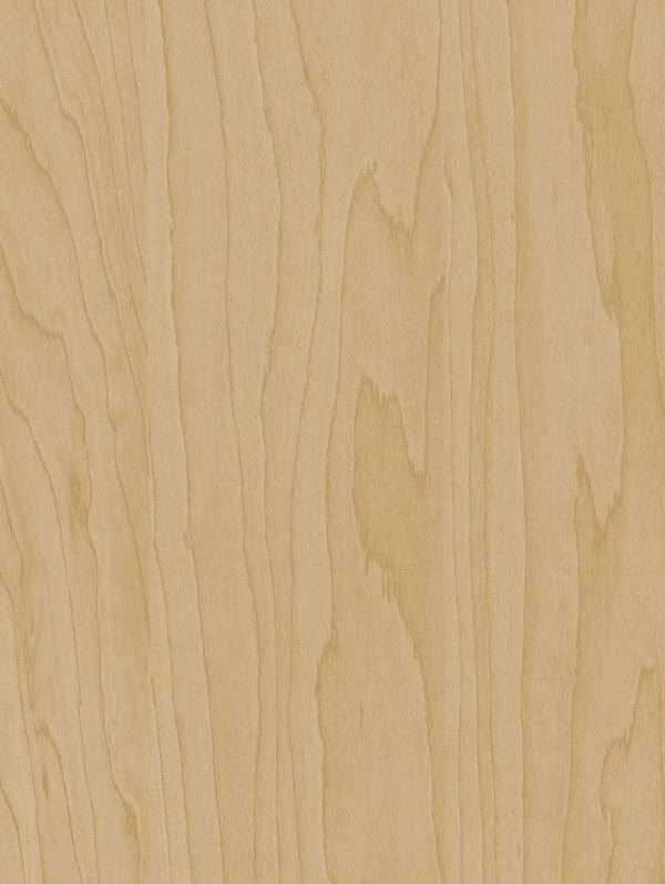 W200 Maple Light Wood Interior Film