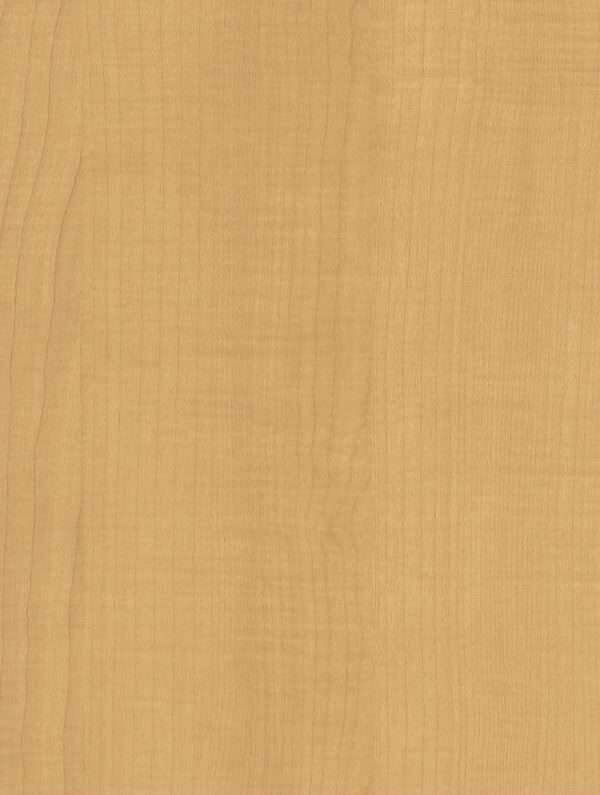 W531 Sycamore Interior Film