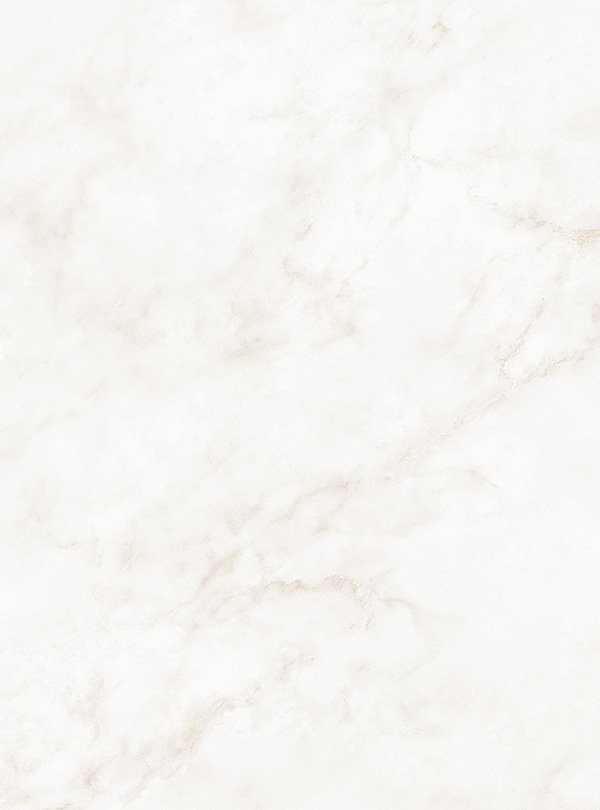 PM019 Stonemarble Venato
